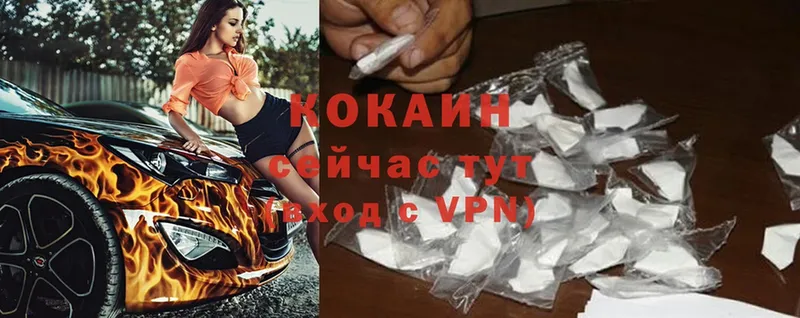 хочу   Жирновск  COCAIN FishScale 