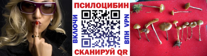 где купить   Жирновск  Псилоцибиновые грибы GOLDEN TEACHER 